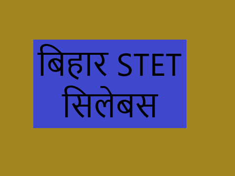 BSEB Bihar STET Syllabus in Hindi